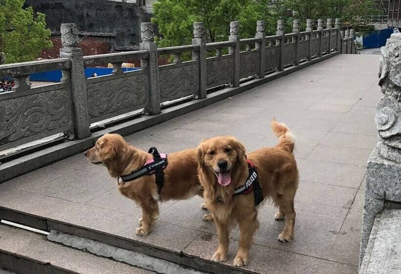 بنسيون Fenghuang Hemu House