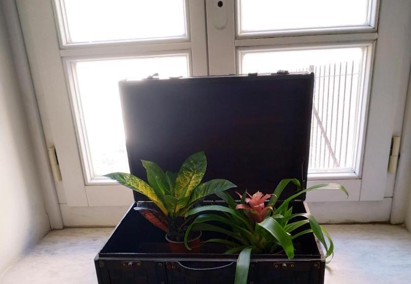 پانسیون Fiera Guesthouse