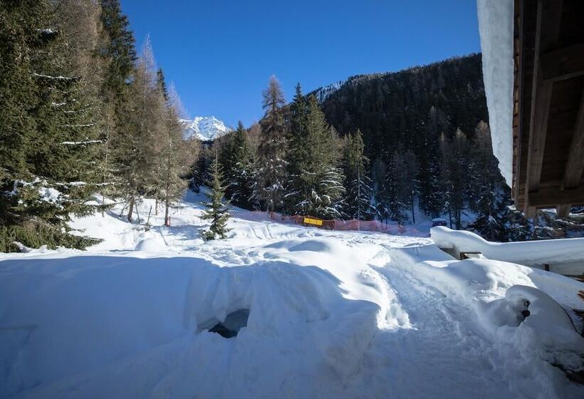 膳宿费 Gite Du Prilet