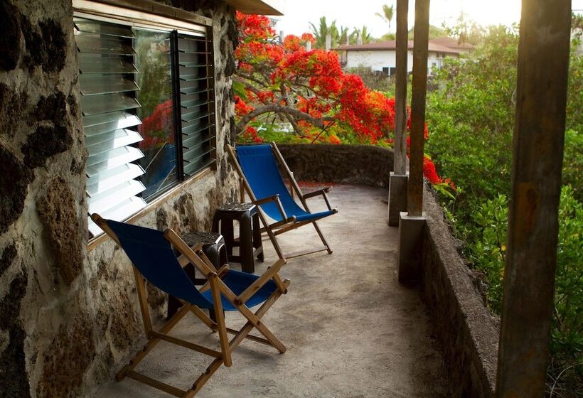 پانسیون Jean's Home