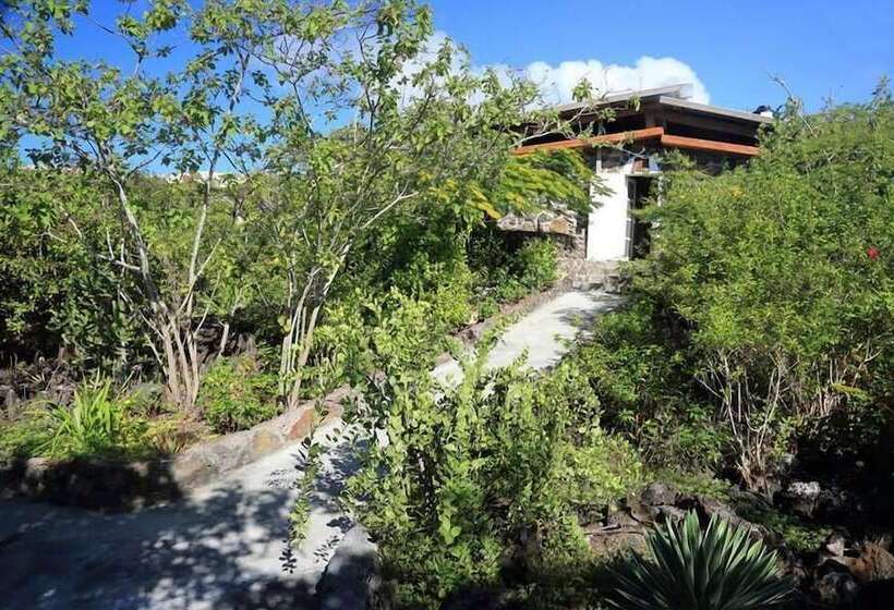 پانسیون Jean's Home