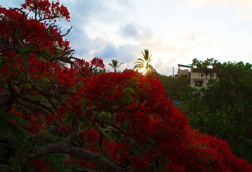 پانسیون Jean's Home