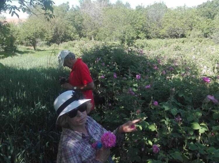 بنسيون Kasbah Tasseurte
