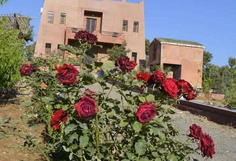 پانسیون Maison D Hôtes Tinwitchi