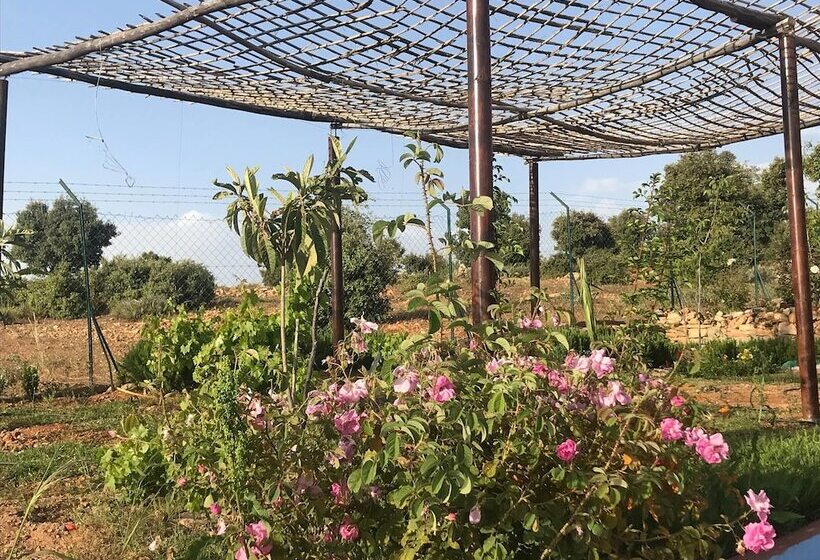 پانسیون Maison D Hôtes Tinwitchi