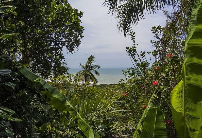 פנסיון Morada Dos Sisais