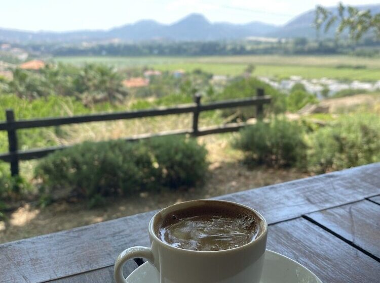 Pensjonat Mustafa'nin Fidan'i