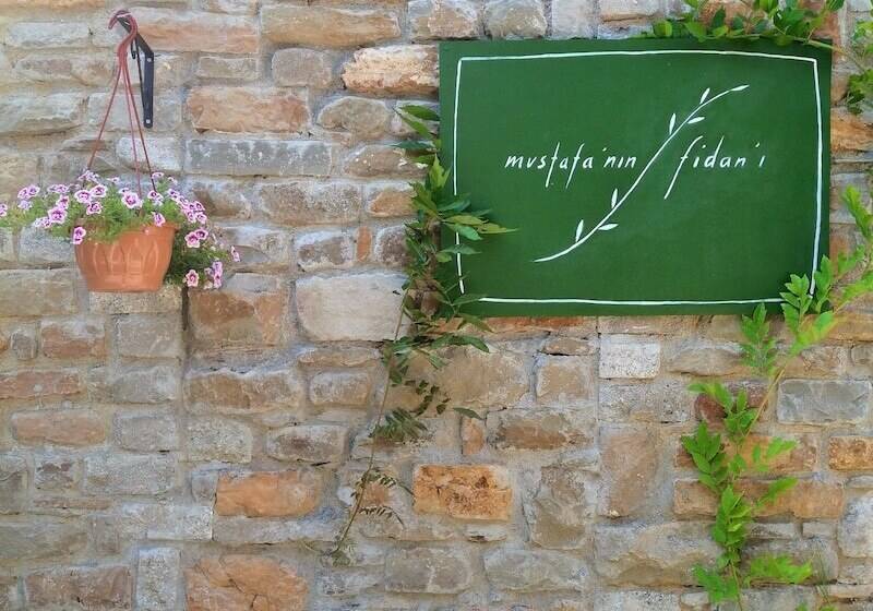 Pensjonat Mustafa'nin Fidan'i