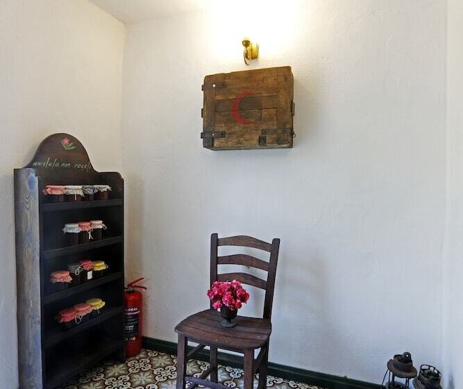 Pensjonat Mustafa'nin Fidan'i