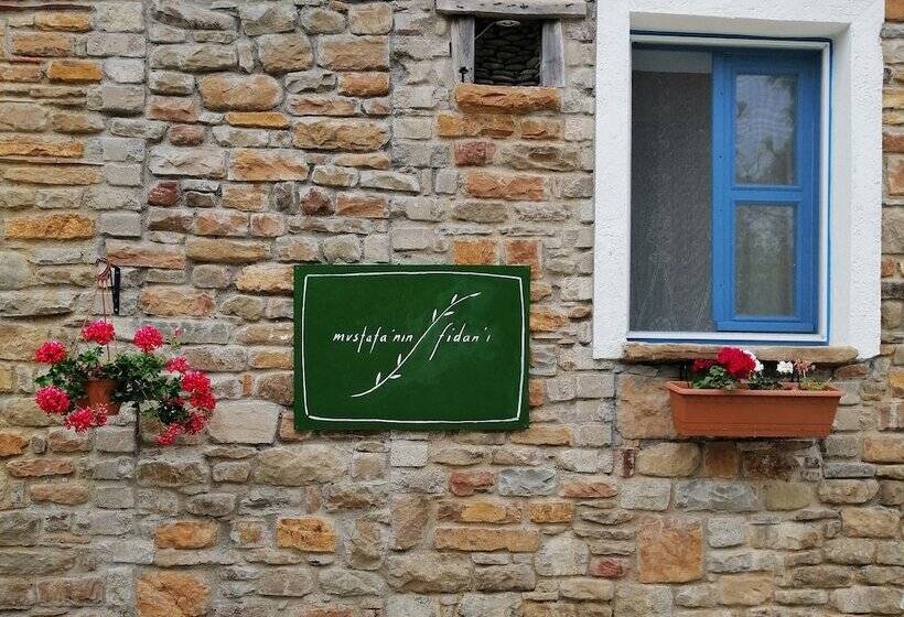 Pensjonat Mustafa'nin Fidan'i