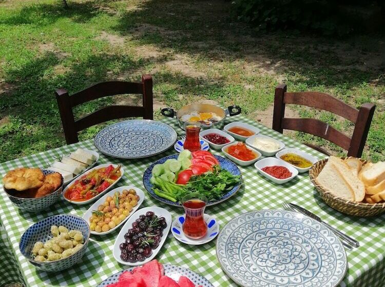 Pensjonat Mustafa'nin Fidan'i