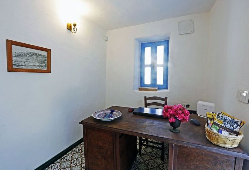 Pensjonat Mustafa'nin Fidan'i