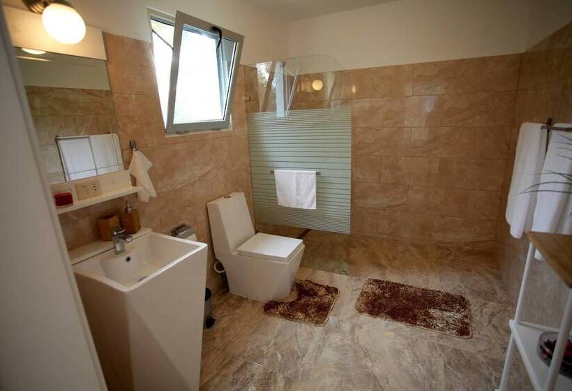 פנסיון Pueblo Checo   Czech Guest House