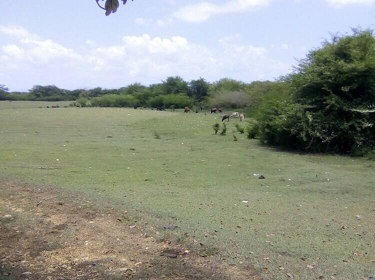 膳宿费 Pyeaca Guesthouse