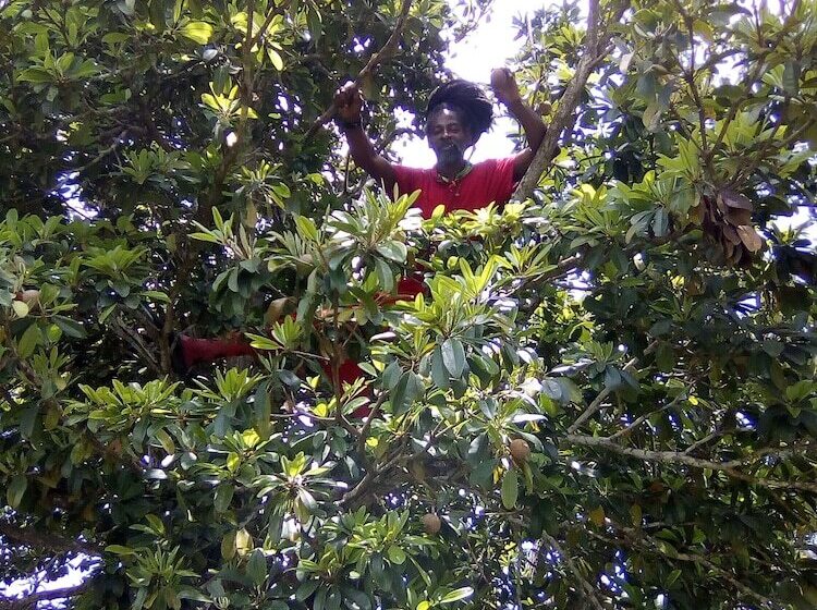 膳宿费 Pyeaca Guesthouse