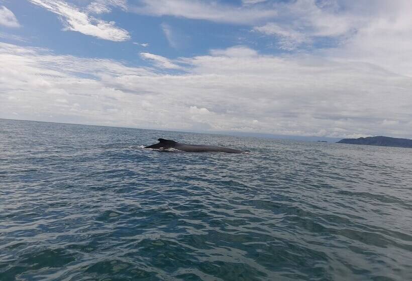 펜션 Rancho Verde De Osa