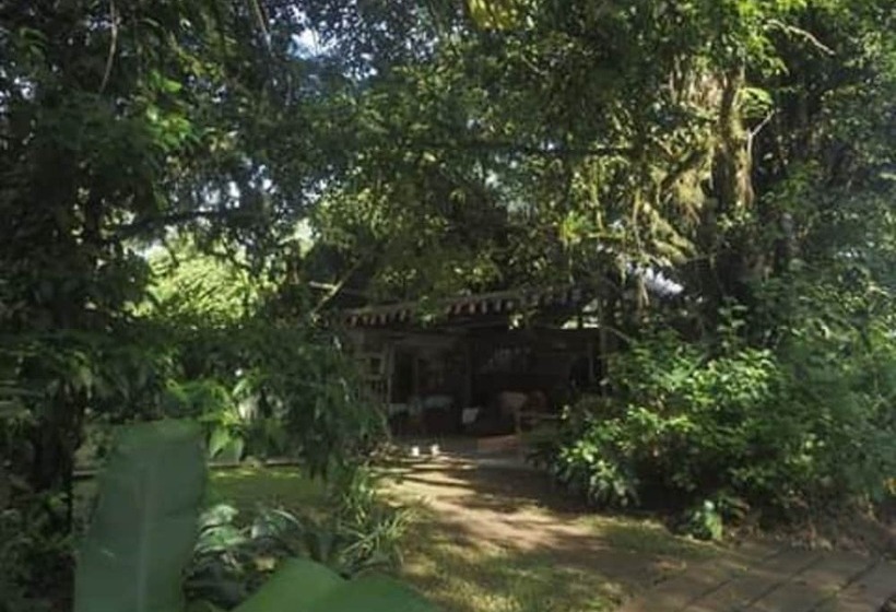 펜션 Rancho Verde De Osa