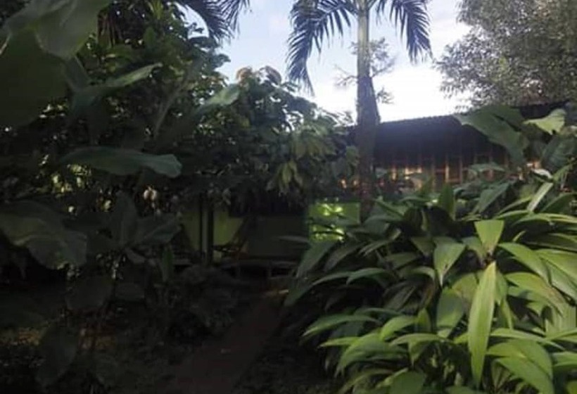 펜션 Rancho Verde De Osa