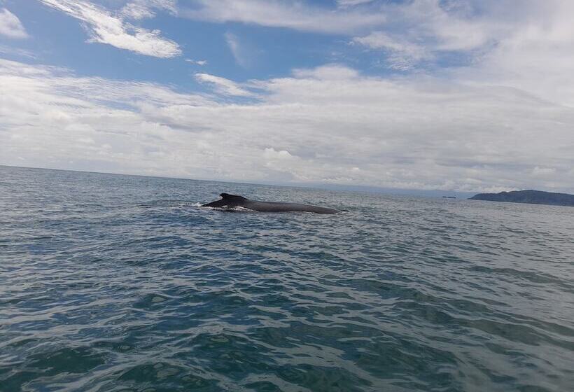 펜션 Rancho Verde De Osa