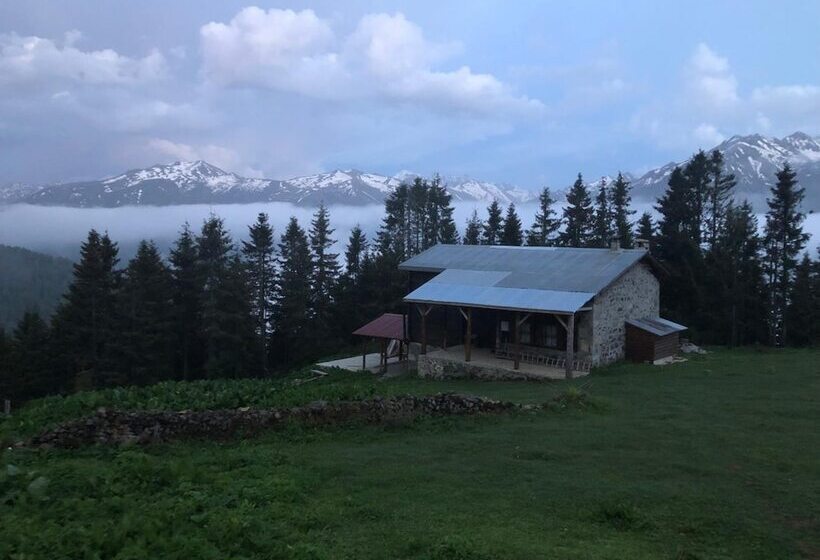 פנסיון Tanevit Dag Evi