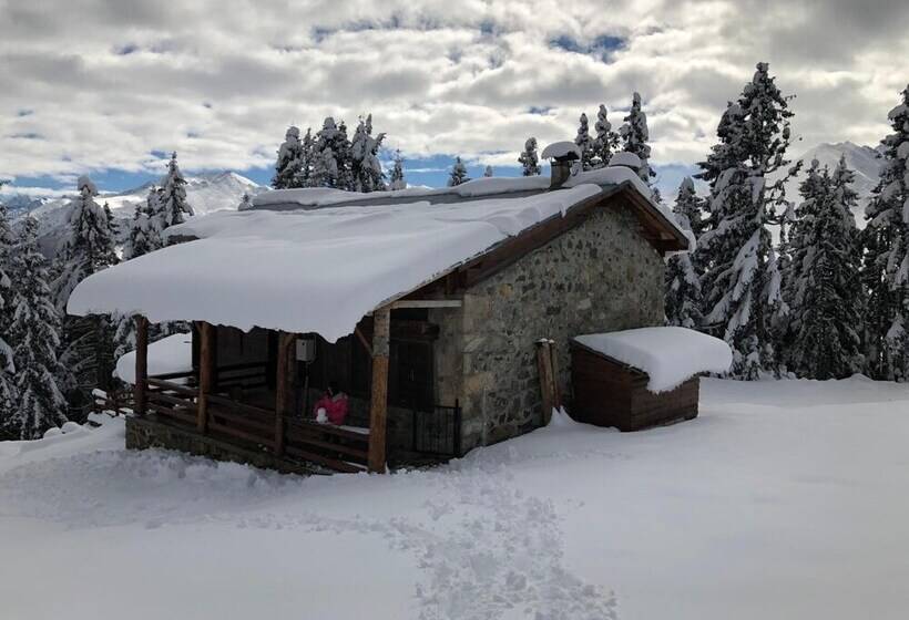 פנסיון Tanevit Dag Evi