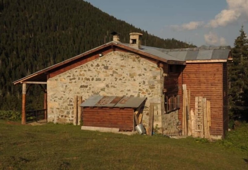 פנסיון Tanevit Dag Evi