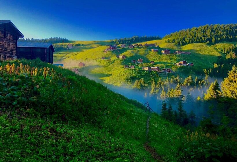 פנסיון Tanevit Dag Evi