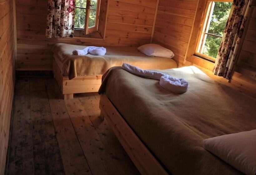 פנסיון Tanevit Dag Evi