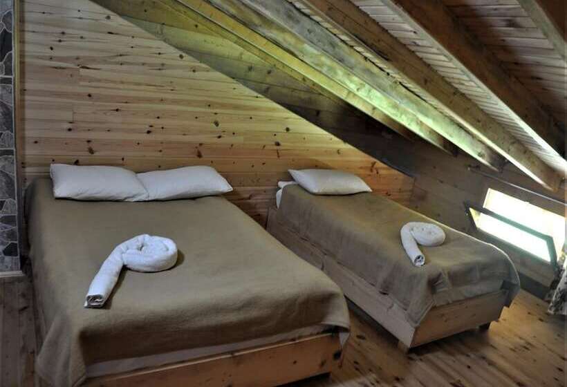 פנסיון Tanevit Dag Evi