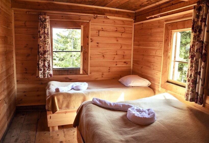 פנסיון Tanevit Dag Evi