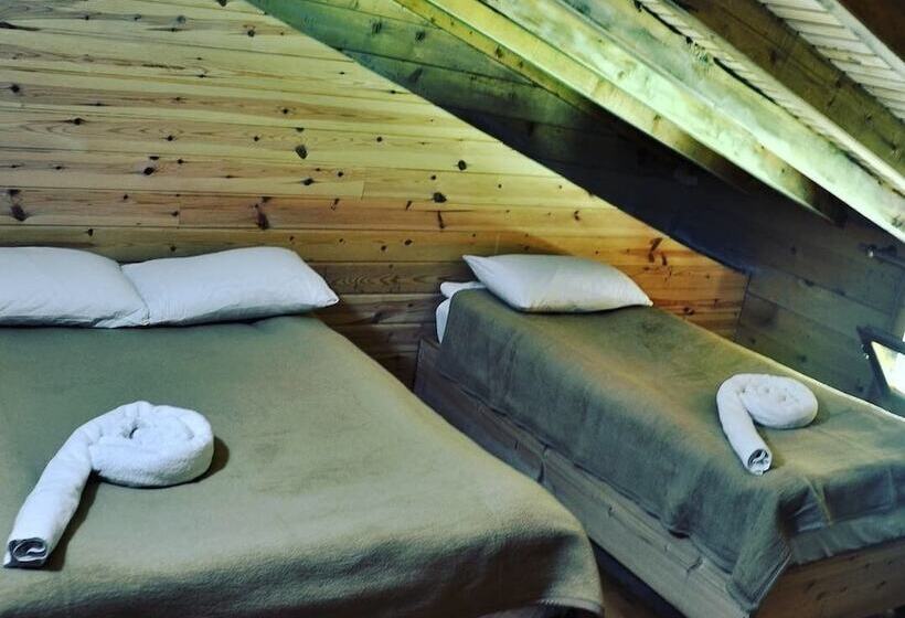 פנסיון Tanevit Dag Evi