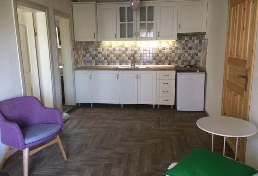 פנסיון Tas Suite Konukevi