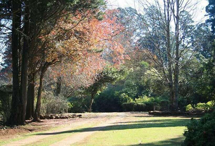 פנסיון Thatchings Guest House