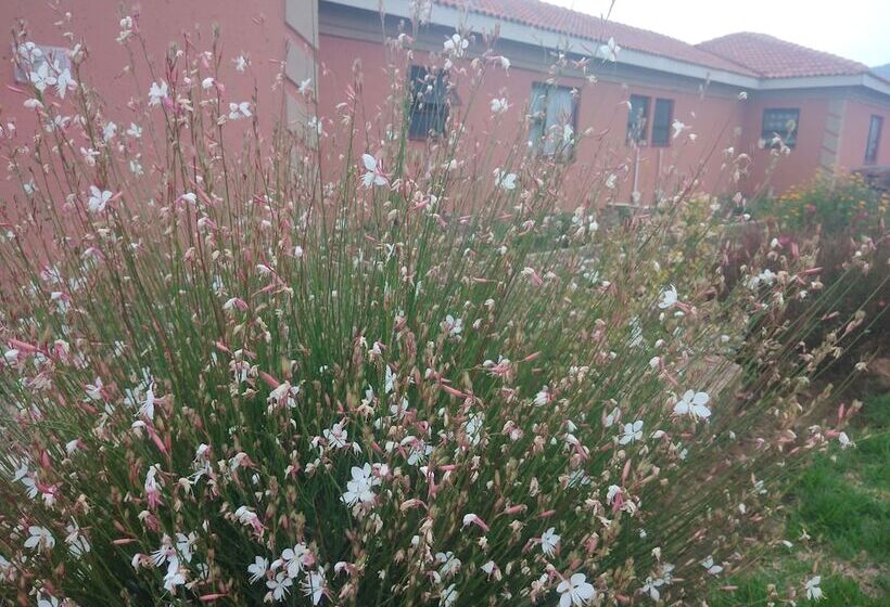 פנסיון Twilight Breeze Lodge