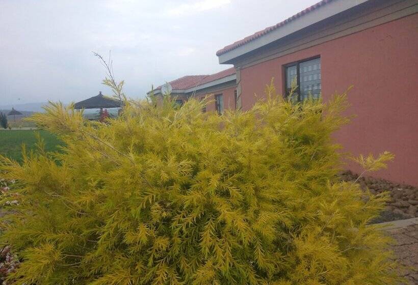 פנסיון Twilight Breeze Lodge