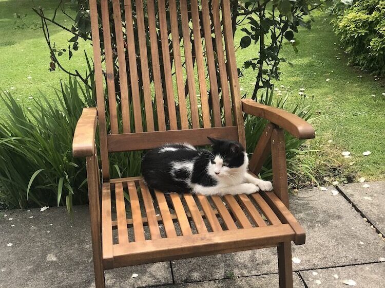 Пансион Upper Wood End Farm