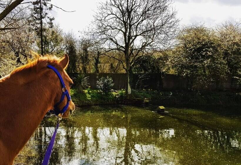 Пансион Upper Wood End Farm