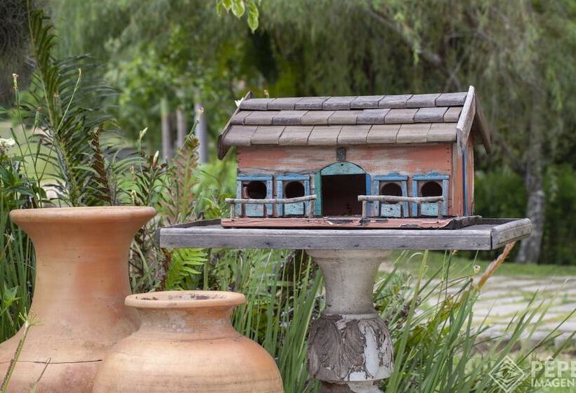 פנסיון Vieja Hacienda