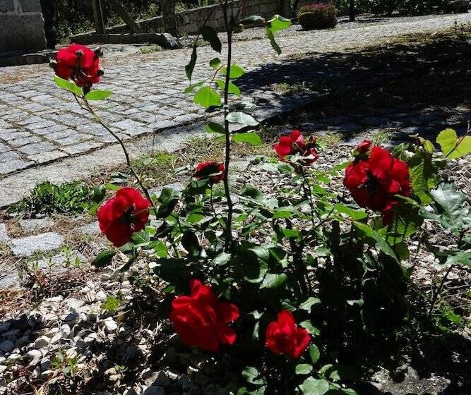 פנסיון Zen Vouga   Quinta Do Fundo De Vila