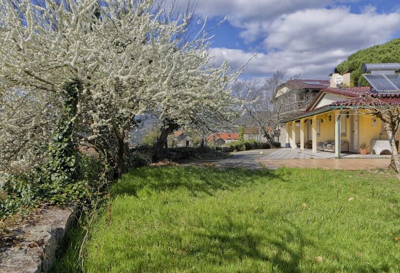 פנסיון Zen Vouga   Quinta Do Fundo De Vila