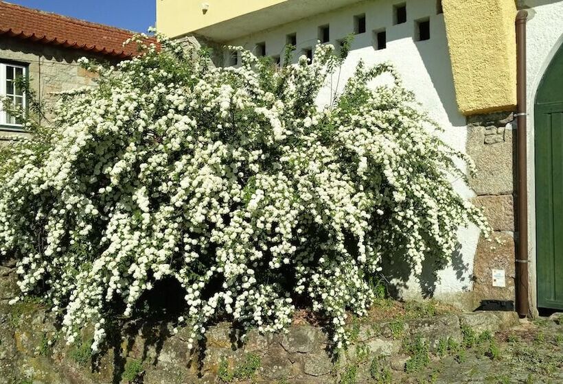 פנסיון Zen Vouga   Quinta Do Fundo De Vila