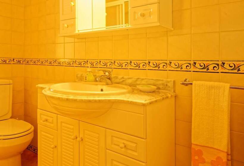 بنسيون Zen Vouga   Quinta Do Fundo De Vila