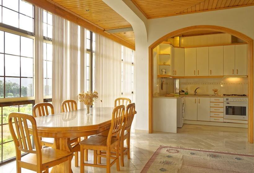 펜션 Zen Vouga   Quinta Do Fundo De Vila