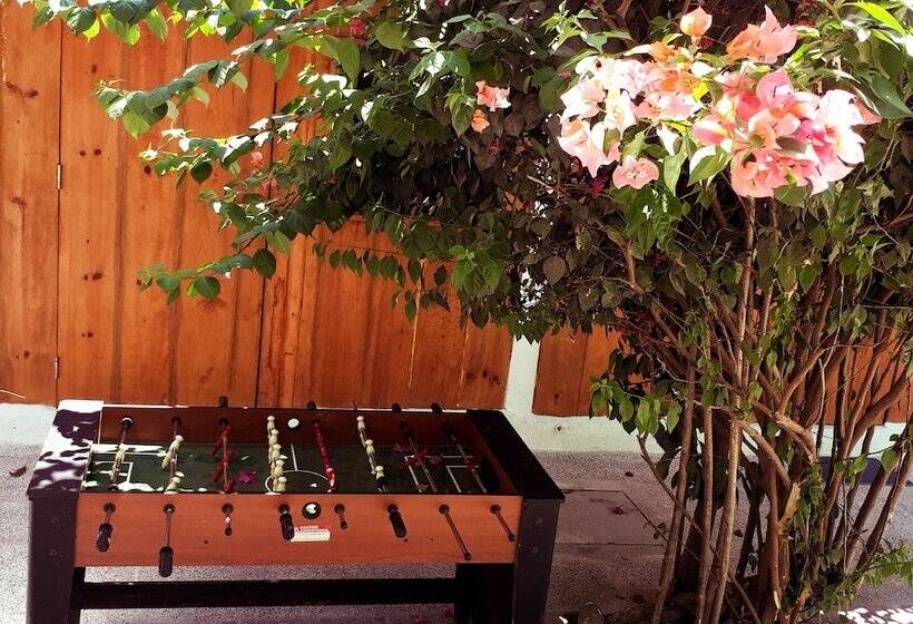 بنسيون Zihua Lao Centro