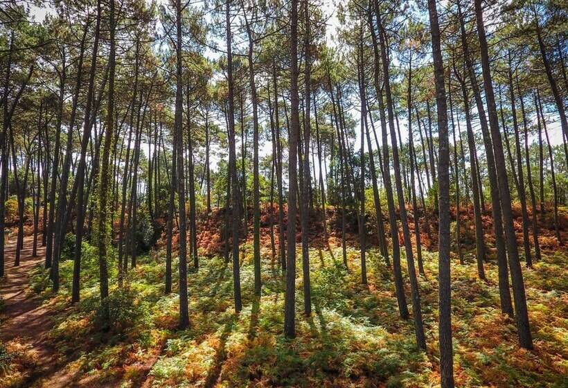 منتجع Vacances Passion   Leon Les Genets