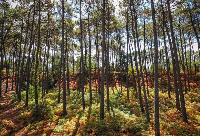 منتجع Vacances Passion   Leon Les Genets