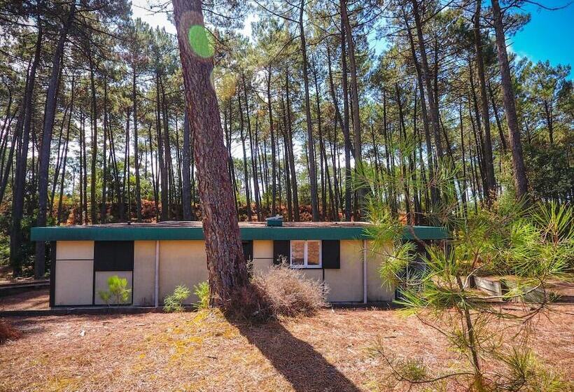 منتجع Vacances Passion   Leon Les Genets