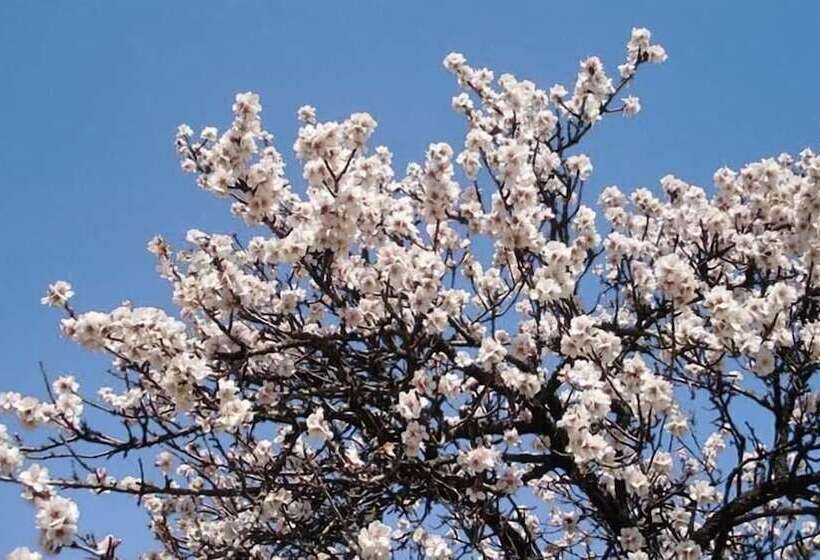 S Hotelet De Santanyi