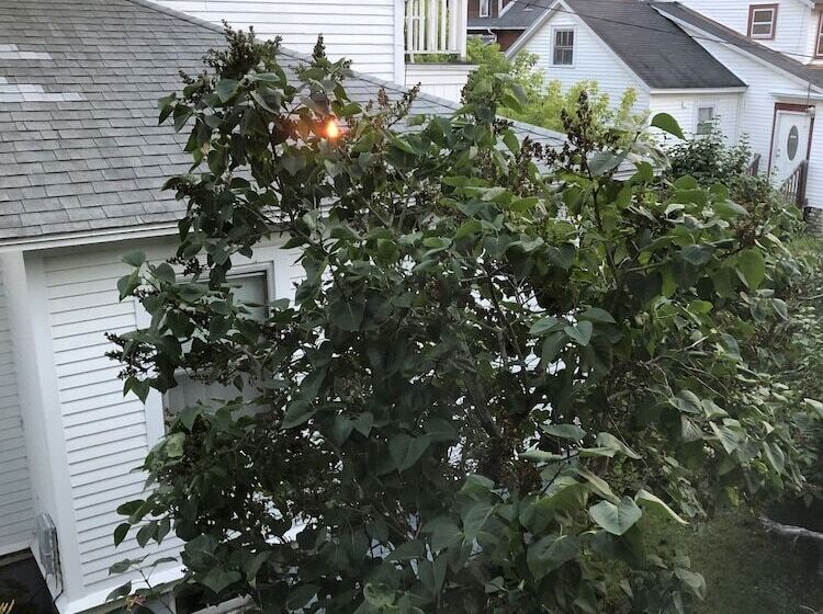 Secrets On Main Bed & Breakfast