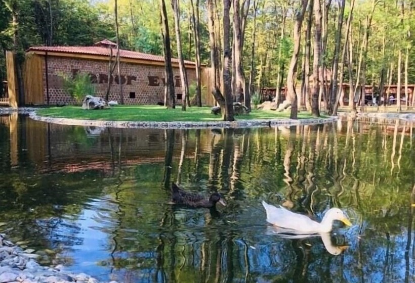 هتل Snow Hi̇ll House Pansiyon